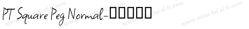 PT Square Peg Normal字体转换